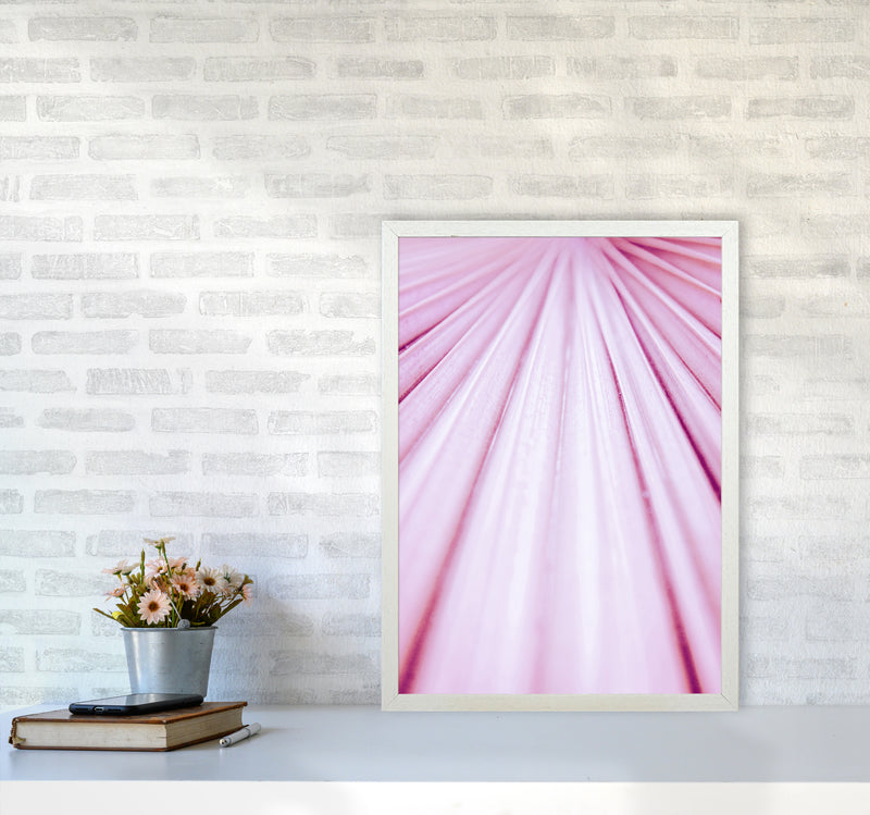 Pink Palm Leaf Photography Print by Victoria Frost A2 Oak Frame