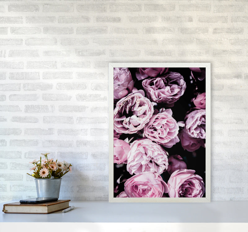 Pink Flowers II Photography Print by Victoria Frost A2 Oak Frame