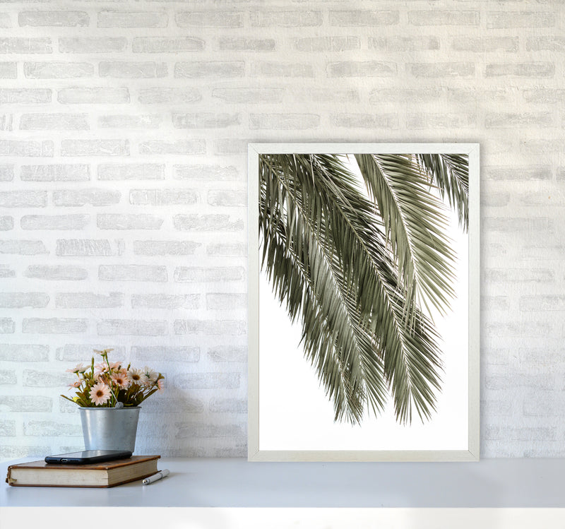 Palms Photography Print by Victoria Frost A2 Oak Frame