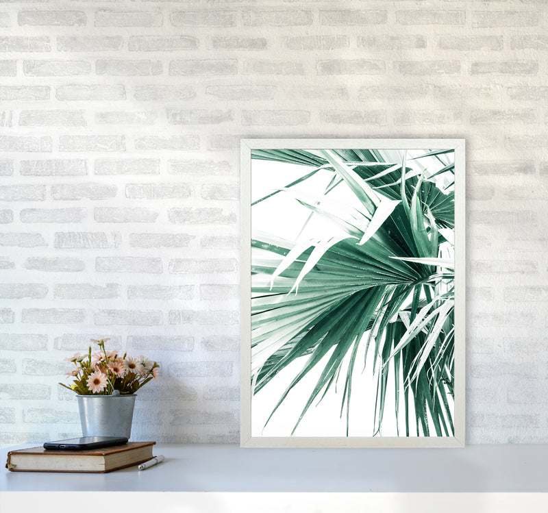 Palm Leaves Photography Print by Victoria Frost A2 Oak Frame