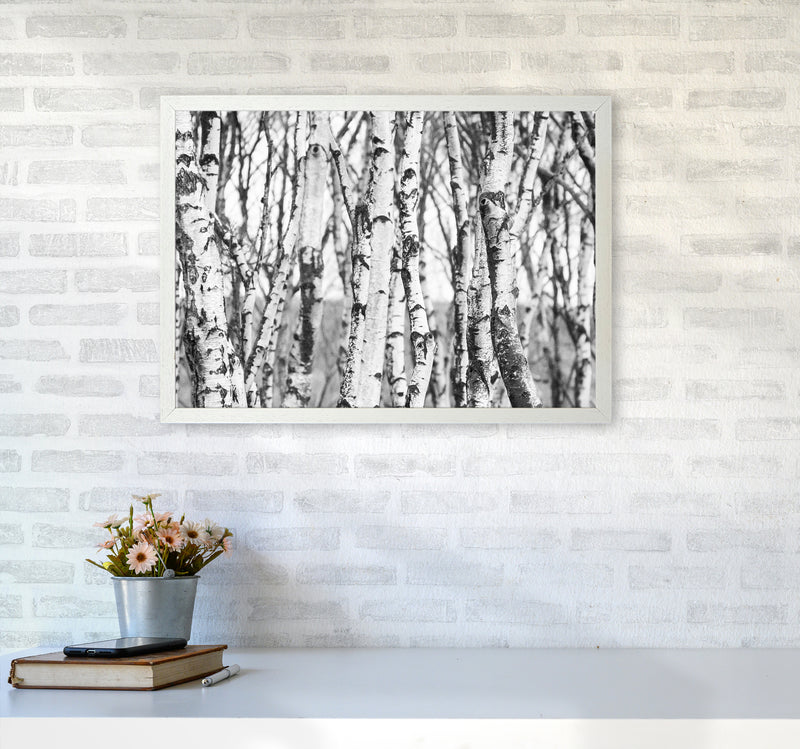 Off the beaten path Photography Print by Victoria Frost A2 Oak Frame