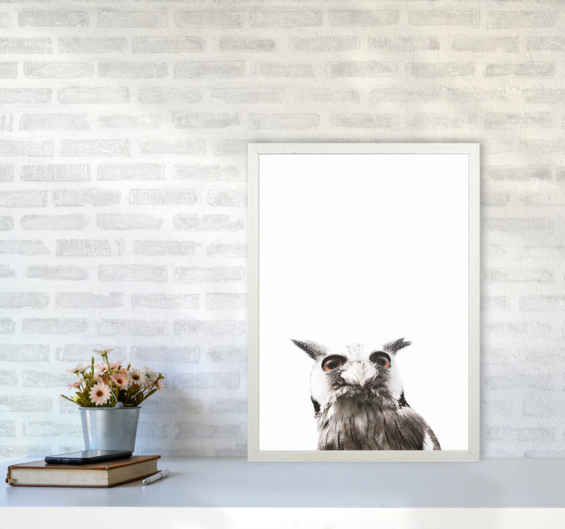 Lil Owl Photography Print by Victoria Frost A2 Oak Frame