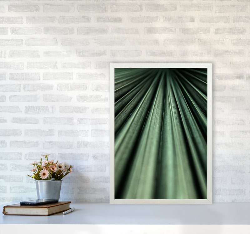 Green Palm Leaf Photography Print by Victoria Frost A2 Oak Frame