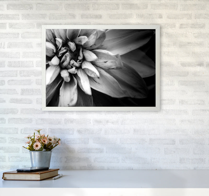 Flower Petals I  Photography Print by Victoria Frost A2 Oak Frame