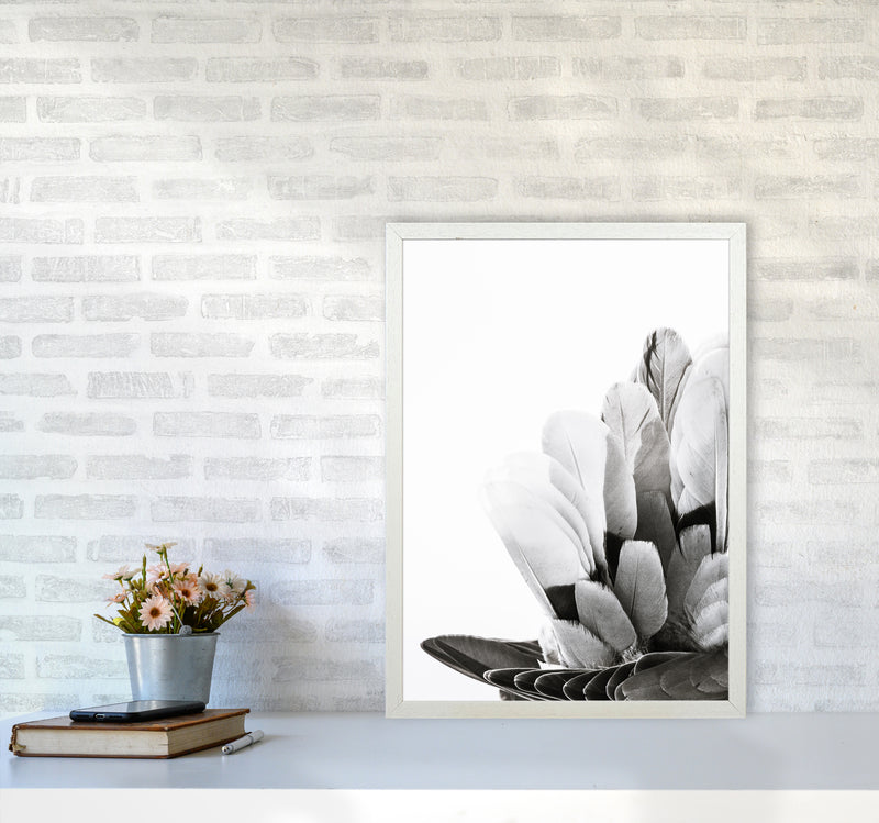 Feathers Photography Print by Victoria Frost A2 Oak Frame