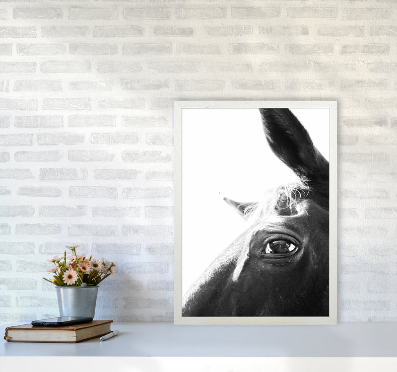 Eye of the beholder Photography Print by Victoria Frost A2 Oak Frame
