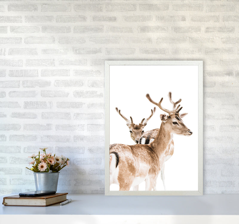 Deers II Photography Print by Victoria Frost A2 Oak Frame