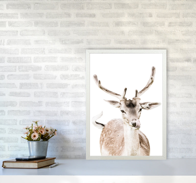 Deer I Photography Print by Victoria Frost A2 Oak Frame