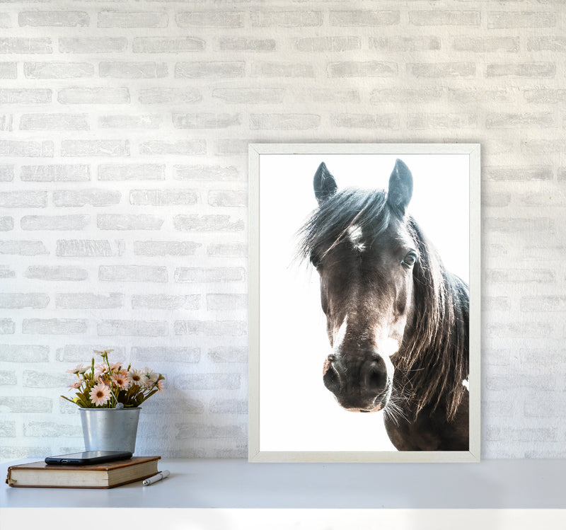 Brown Horse Photography Print by Victoria Frost A2 Oak Frame