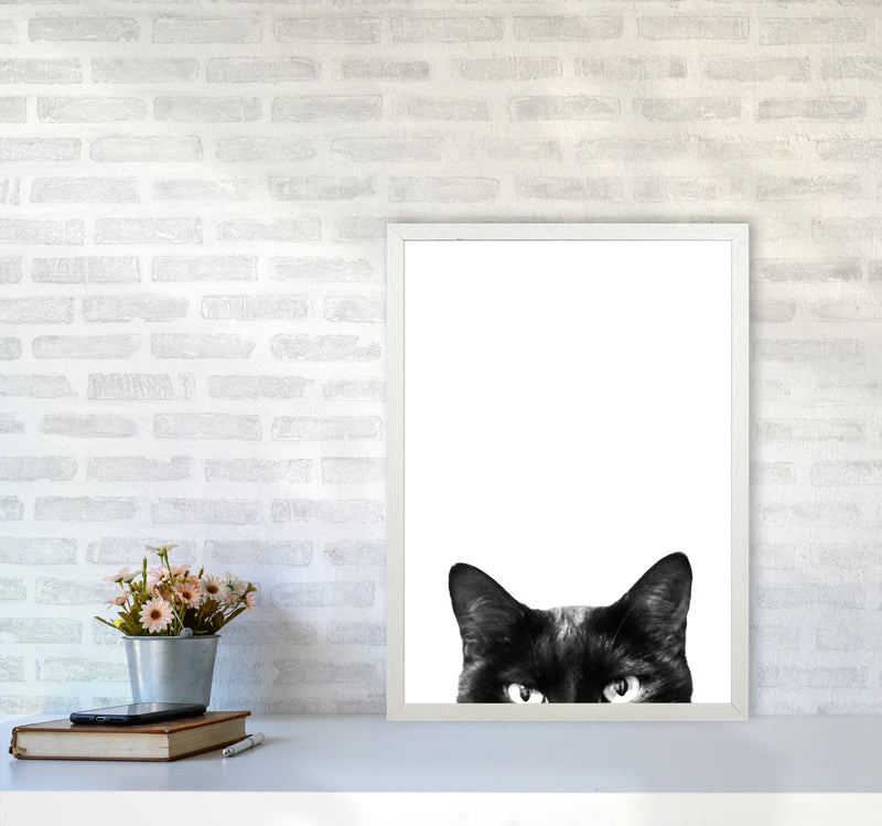 Black Cat Photography Print by Victoria Frost A2 Oak Frame