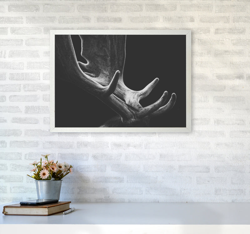 Antlers Photography Print by Victoria Frost A2 Oak Frame