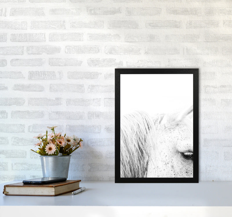White Horse II Photography Print by Victoria Frost A3 White Frame