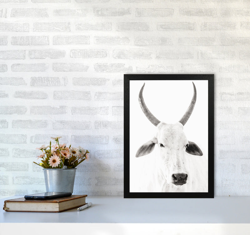 White Cow I Photography Print by Victoria Frost A3 White Frame