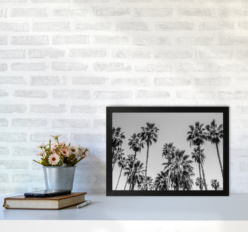 Sabal palmetto I Palm Trees Photography Print by Victoria Frost A3 White Frame