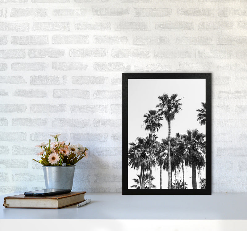 Sabal palmetto II Palm trees Photography Print by Victoria Frost A3 White Frame