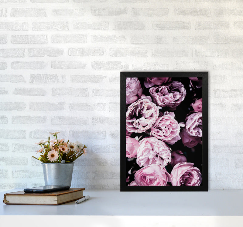 Pink Flowers II Photography Print by Victoria Frost A3 White Frame