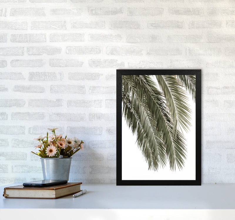 Palms Photography Print by Victoria Frost A3 White Frame