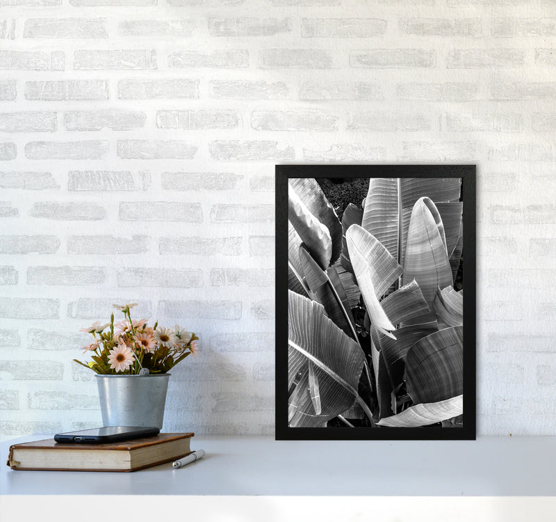 Palms Leafs Photography Print by Victoria Frost A3 White Frame