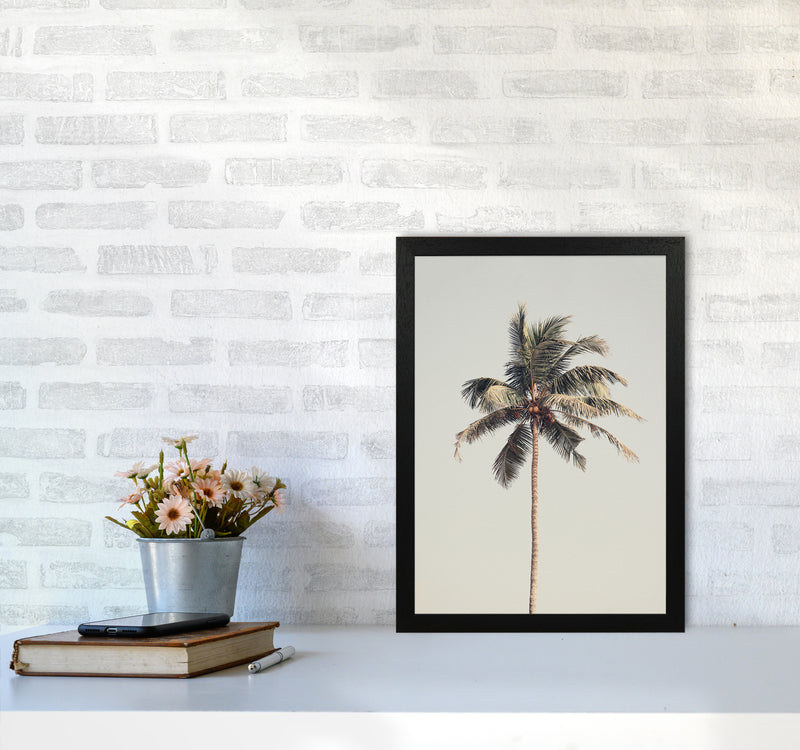 Palm tree by the beach Photography Print by Victoria Frost A3 White Frame