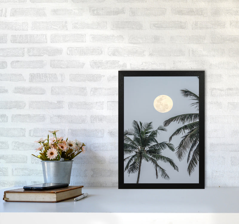 Full Moon Photography Print by Victoria Frost A3 White Frame