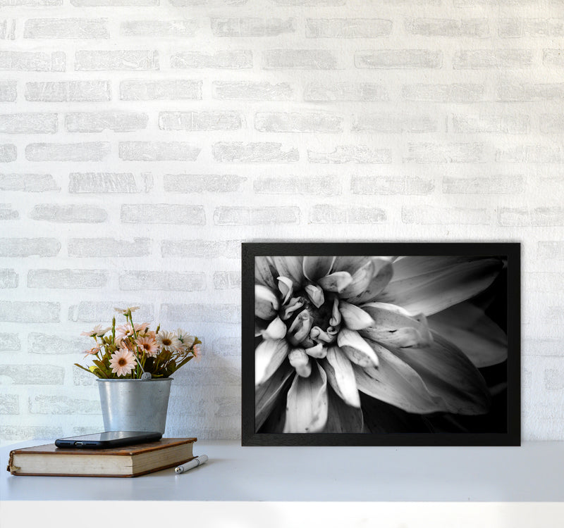 Flower Petals I  Photography Print by Victoria Frost A3 White Frame