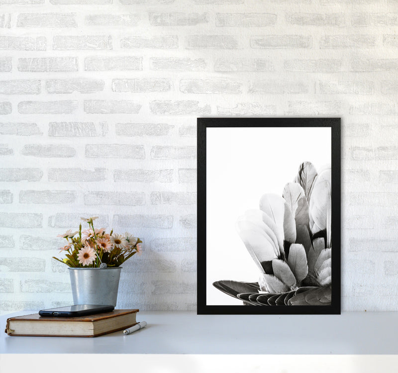 Feathers Photography Print by Victoria Frost A3 White Frame