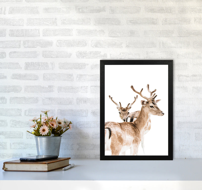 Deers II Photography Print by Victoria Frost A3 White Frame