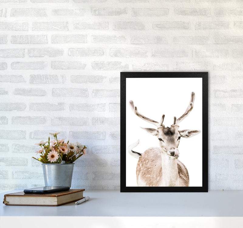 Deer I Photography Print by Victoria Frost A3 White Frame