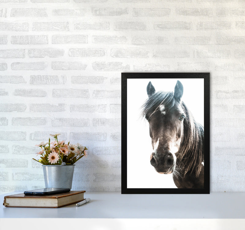 Brown Horse Photography Print by Victoria Frost A3 White Frame