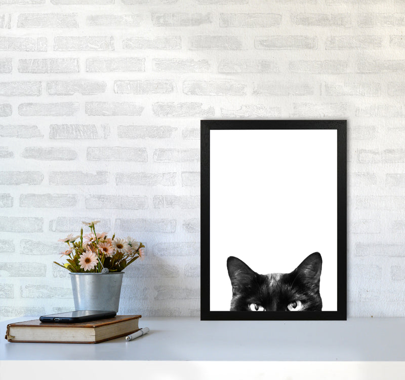 Black Cat Photography Print by Victoria Frost A3 White Frame