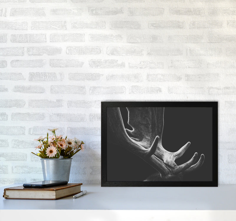 Antlers Photography Print by Victoria Frost A3 White Frame
