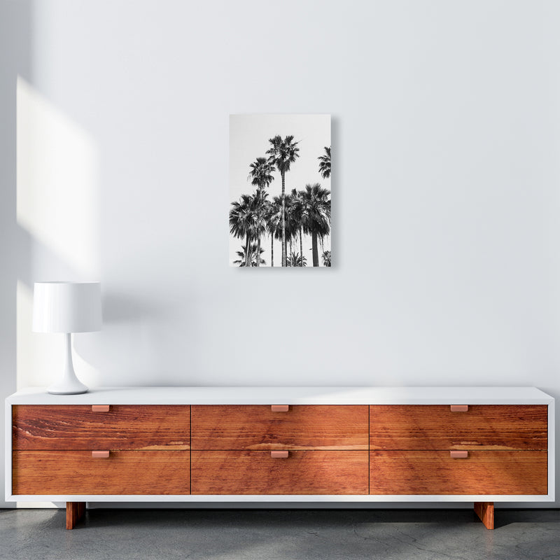 Sabal palmetto II Palm trees Photography Print by Victoria Frost A3 Canvas