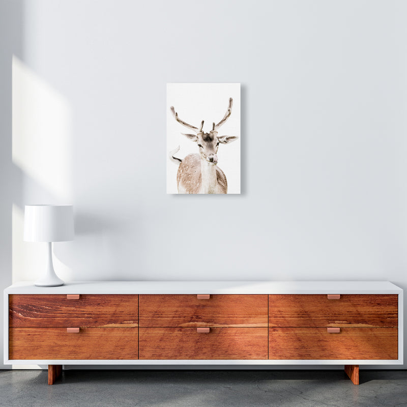 Deer I Photography Print by Victoria Frost A3 Canvas