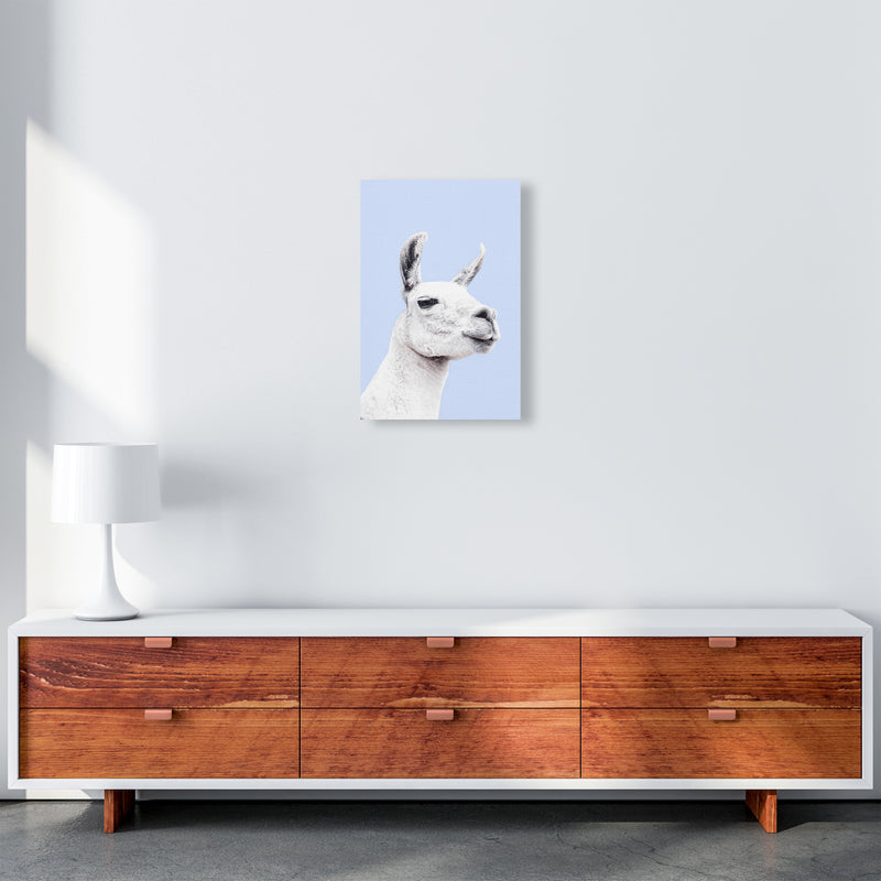 Blue Llama Photography Print by Victoria Frost A3 Canvas