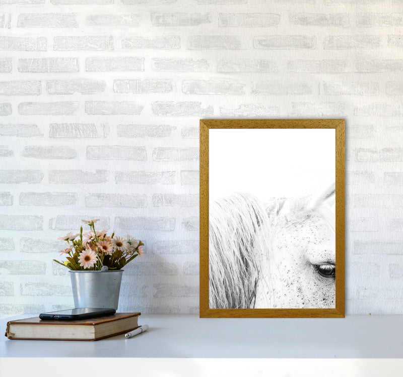 White Horse II Photography Print by Victoria Frost A3 Print Only
