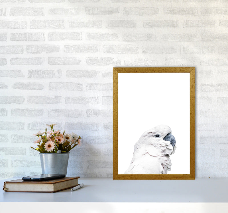 White Cockatoo Photography Print by Victoria Frost A3 Print Only