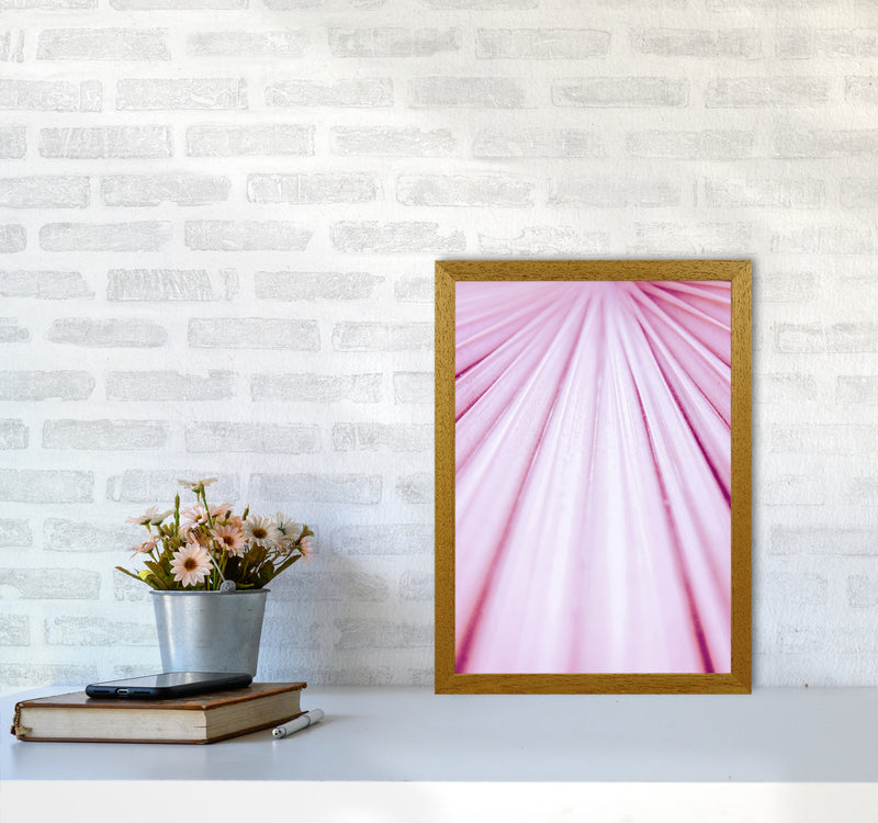 Pink Palm Leaf Photography Print by Victoria Frost A3 Print Only