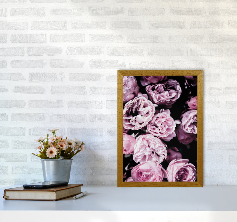 Pink Flowers II Photography Print by Victoria Frost A3 Print Only
