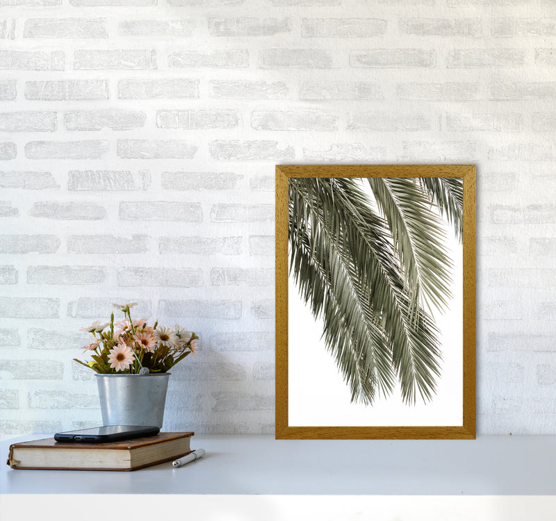 Palms Photography Print by Victoria Frost A3 Print Only