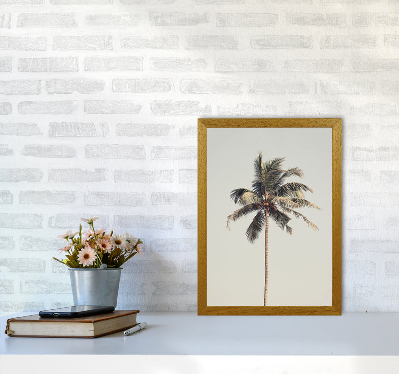 Palm tree by the beach Photography Print by Victoria Frost A3 Print Only