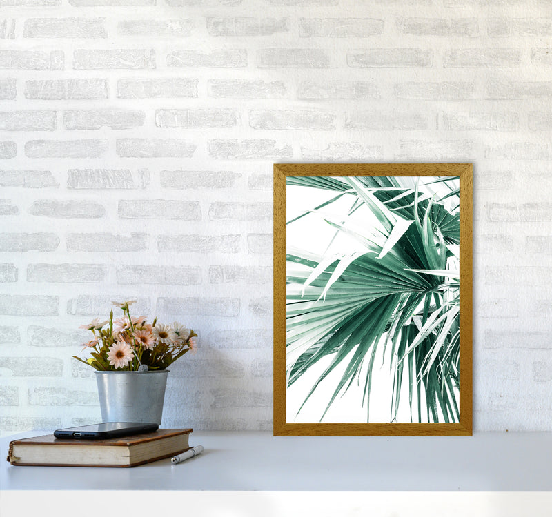 Palm Leaves Photography Print by Victoria Frost A3 Print Only