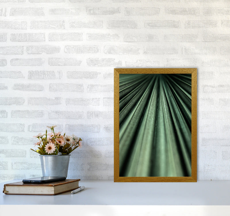 Green Palm Leaf Photography Print by Victoria Frost A3 Print Only