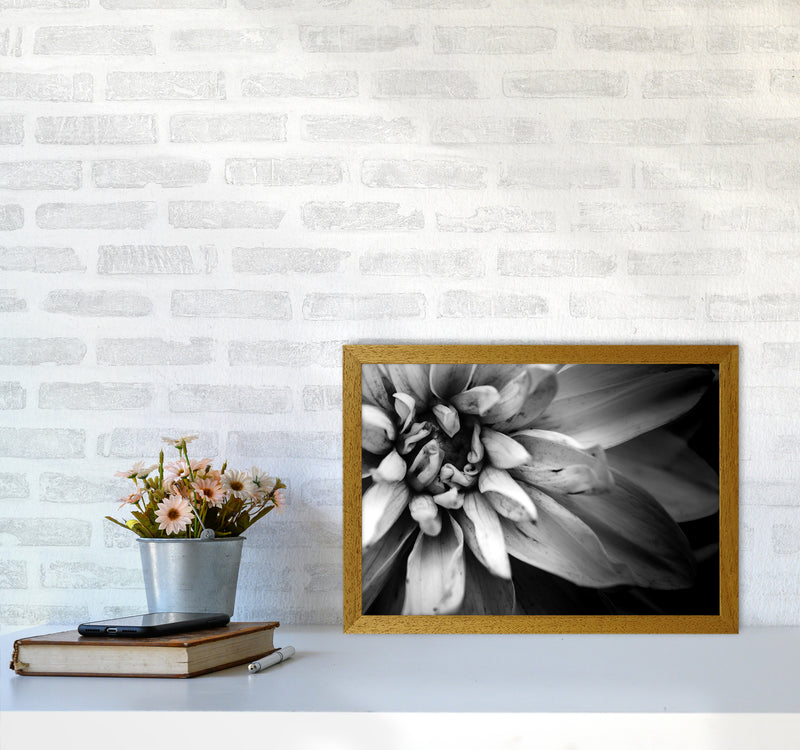 Flower Petals I  Photography Print by Victoria Frost A3 Print Only