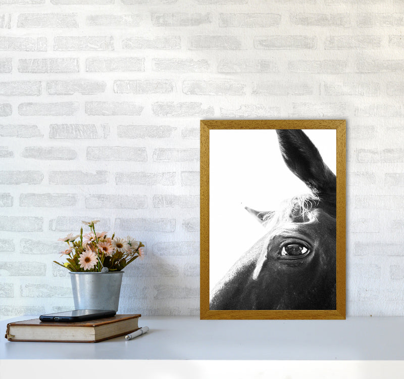 Eye of the beholder Photography Print by Victoria Frost A3 Print Only