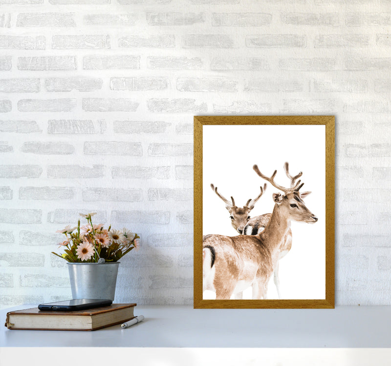 Deers II Photography Print by Victoria Frost A3 Print Only