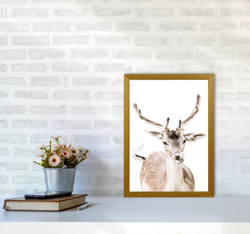 Deer I Photography Print by Victoria Frost A3 Print Only