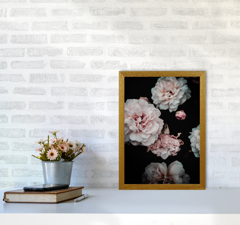 Crisp Pink Photography Print by Victoria Frost A3 Print Only