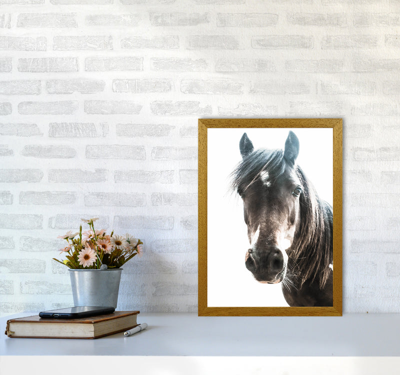 Brown Horse Photography Print by Victoria Frost A3 Print Only