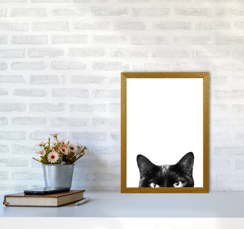 Black Cat Photography Print by Victoria Frost A3 Print Only