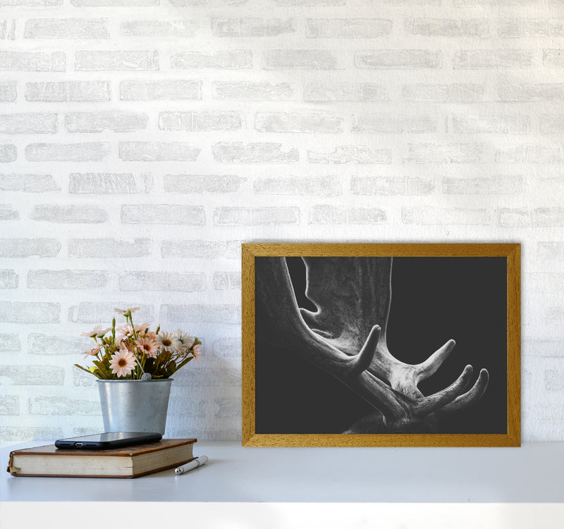 Antlers Photography Print by Victoria Frost A3 Print Only